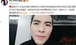 向华强儿子爆料视频最新,独家视频揭秘娱乐圈不为人知的一面